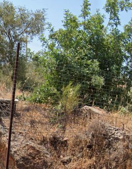 Land plot 1.500sqm for sale-Corfu » Pareli