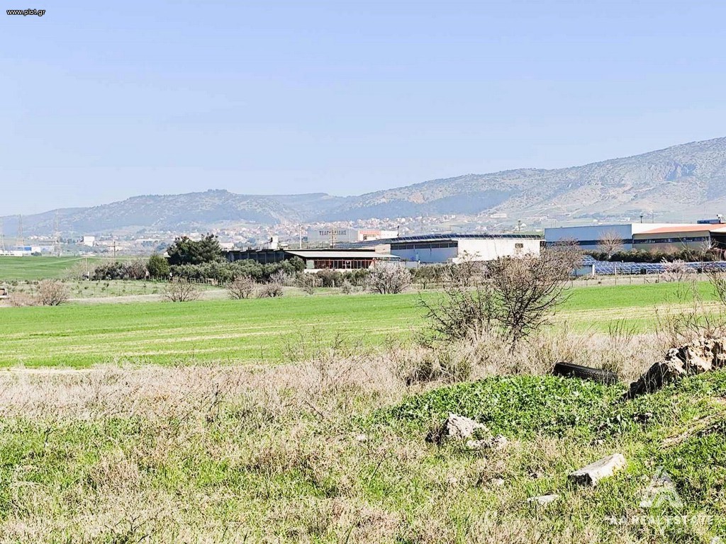 Αγροτεμάχια 300 τ.μ. πρός πώληση, Θεσσαλονίκη - Περιφ/Κοί Δήμοι, Εχέδωρος