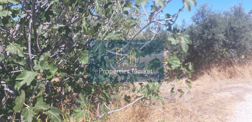 Οικόπεδο 681 τ.μ. πρός πώληση, Αττική - Υπόλοιπο, Ανάβυσσος