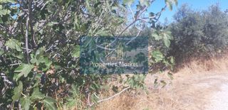 Οικόπεδο 681 τ.μ. για πώληση