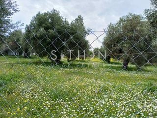 Αγροτεμάχια 1.981 τ.μ. για πώληση, Χαλκιδική, Τορώνη-thumb-1