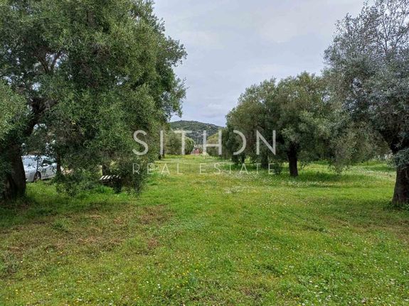 Αγροτεμάχια 1.981 τ.μ. για πώληση, Χαλκιδική, Τορώνη