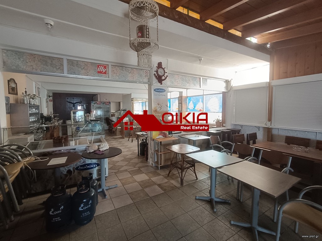 Επιχείρηση 150 τ.μ. πρός πώληση, Φθιώτιδας, Πελασγία