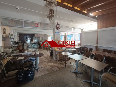 Επιχείρηση 150τ.μ. για πώληση-Πελασγία » Γλύφα