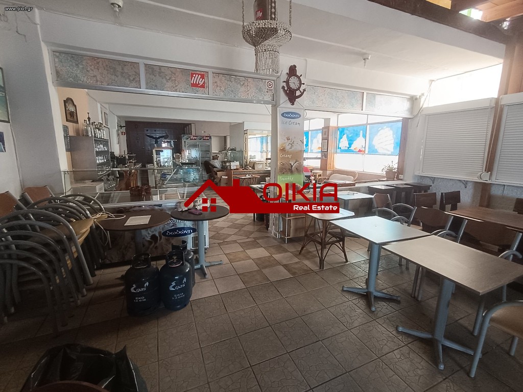Επιχείρηση 150 τ.μ. πρός πώληση, Φθιώτιδας, Πελασγία