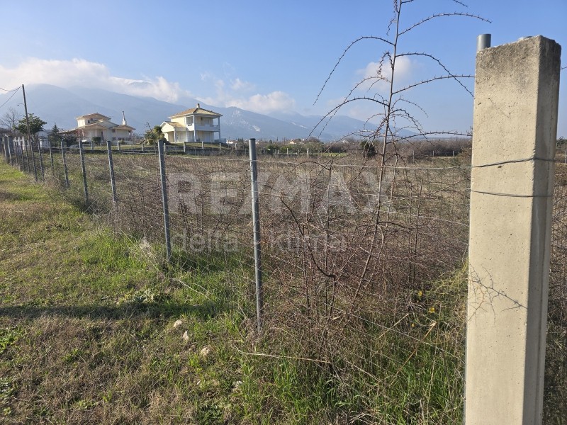 Αγροτεμάχια 1.330 τ.μ. προς πώληση, Λεπτοκαρυά Ανατολικού Ολύμπου