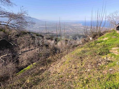 Οικόπεδο 151τ.μ. για πώληση-Ανατολικος όλυμπος » Παλαιός παντελεήμονας