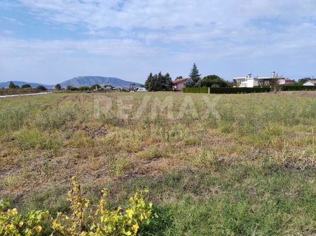 Οικόπεδο 2.750 τ.μ. για πώληση