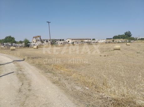 Οικόπεδο 4.246 τ.μ. για ενοικίαση