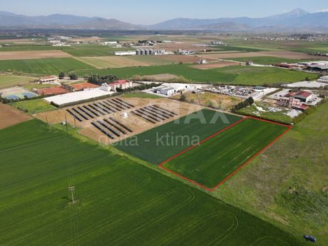 Αγροτεμάχια 4.500τ.μ. για πώληση-Γιαννούλη » Δασοχώρι