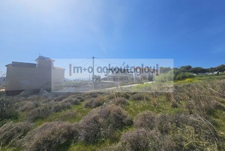 Οικόπεδο 1.255 τ.μ. πρός πώληση