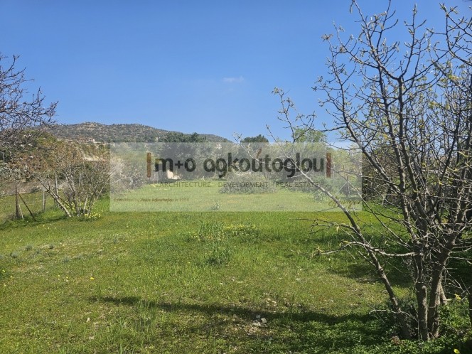 Οικόπεδο 610 τ.μ. πρός πώληση, Αττική - Υπόλοιπο, Ανάβυσσος