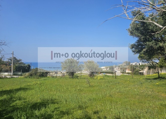 Οικόπεδο 610 τ.μ. πρός πώληση, Αττική - Υπόλοιπο, Ανάβυσσος