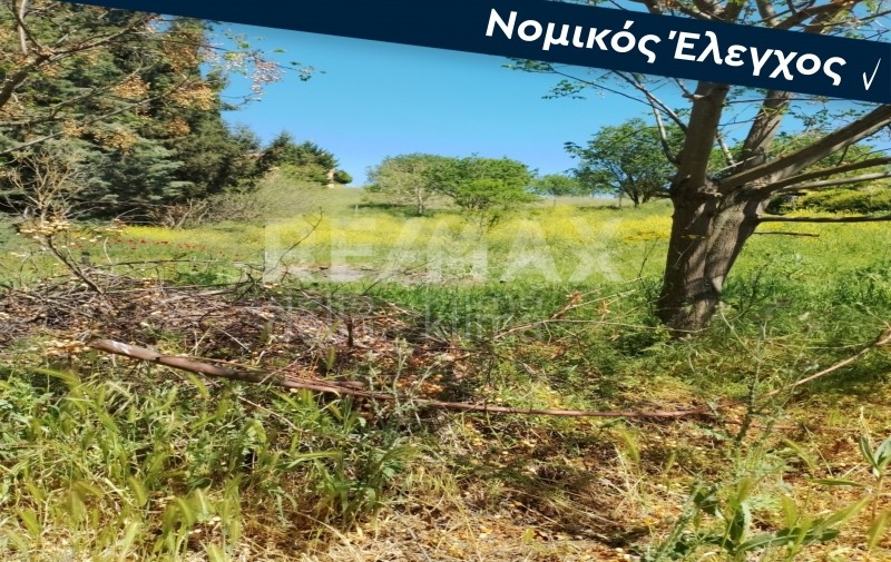 Οικόπεδο 726 τ.μ. για πώληση, Ν. Λάρισας, Κοιλάδα