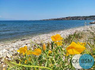 Οικόπεδο 742 τ.μ. για πώληση, Μεσσηνία, Πεταλίδι-thumb-19