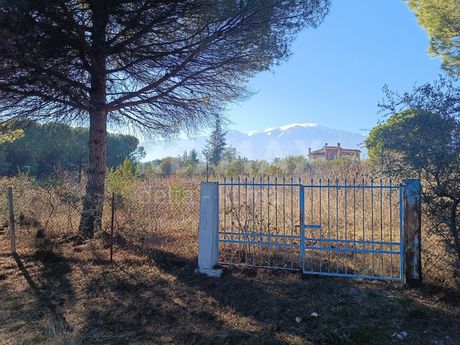 Αγροτεμάχια 4.009τ.μ. για πώληση-Λιτόχωρο » Πλάκα