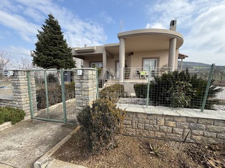Μονοκατοικία 130τ.μ. για πώληση-Φάρσαλα » Κέντρο