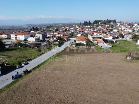 Οικόπεδο 2.500τ.μ. για πώληση-Δίον » Νέα έφεσος