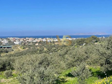 Άλλο 9.500τ.μ. για ενοικίαση-Γούβες » Γούρνες