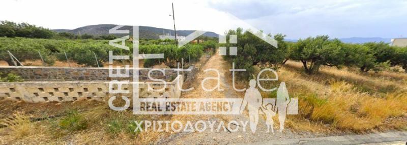 Αγροτεμάχια 4.746 τ.μ. προς πώληση, Παχεία Άμμος