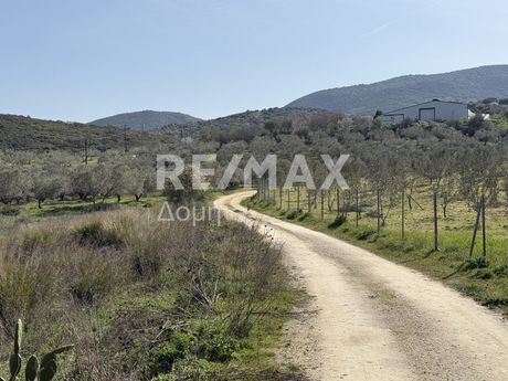 Αγροτεμάχια 5.923τ.μ. για πώληση-Αισωνία » Διμήνι