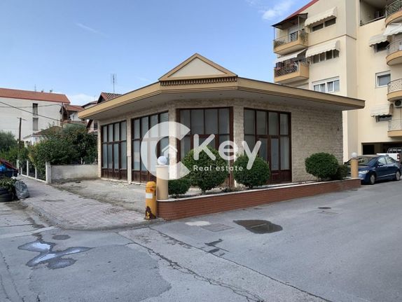 Κατάστημα 109 τ.μ. για πώληση, Ημαθία, Αλεξάνδρεια