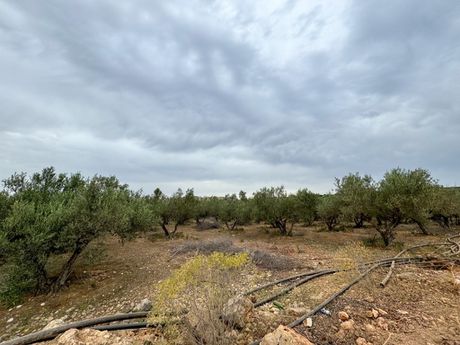 Parcel 8.209sqm for sale-Geropotamos » Panormos