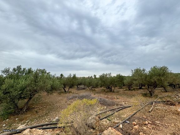 Αγροτεμάχια 8.209 τ.μ. για πώληση, Ν. Ρεθύμνου, Γεροπόταμος