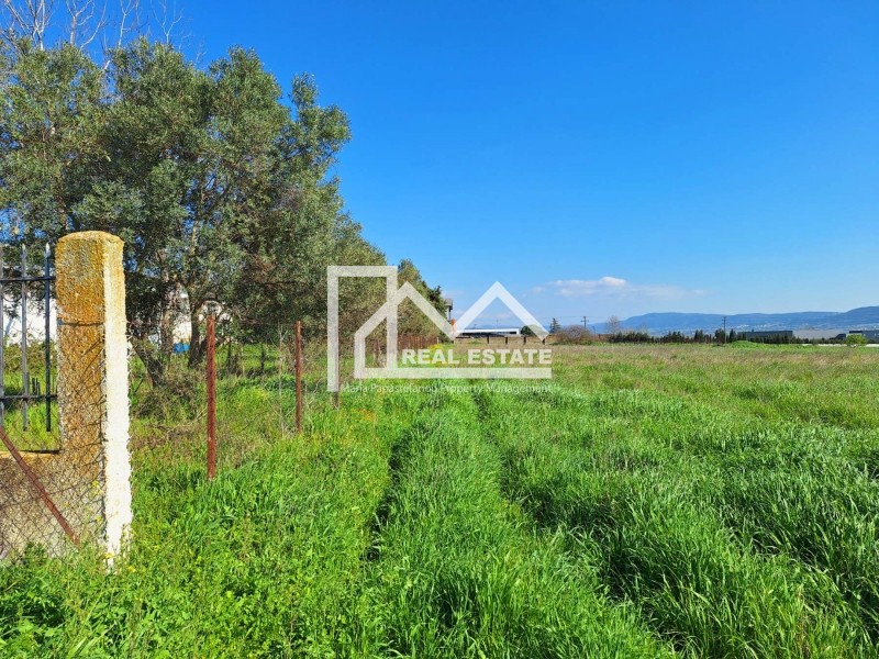 Αγροτεμάχια 4.440 τ.μ. πρός ενοικίαση, Θεσσαλονίκη - Περιφ/Κοί Δήμοι, Θέρμη