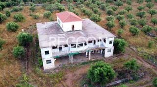 Land plot 18.000 sqm for sale