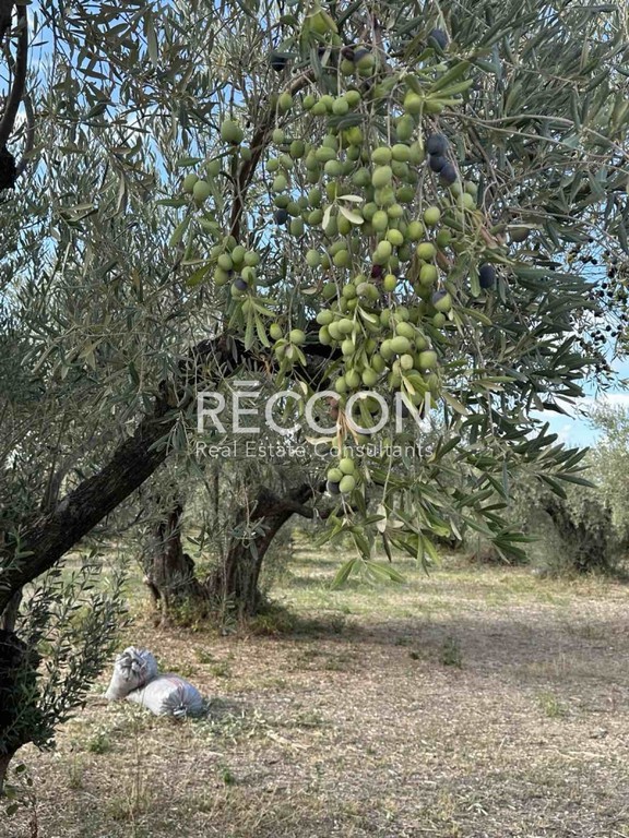 Οικόπεδο 720 τ.μ. προς πώληση, Κανατάδικα