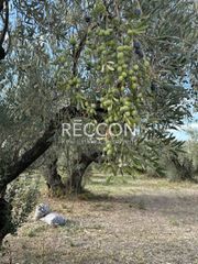 Οικόπεδο 720 τ.μ. προς πώληση, Κανατάδικα-thumb-3