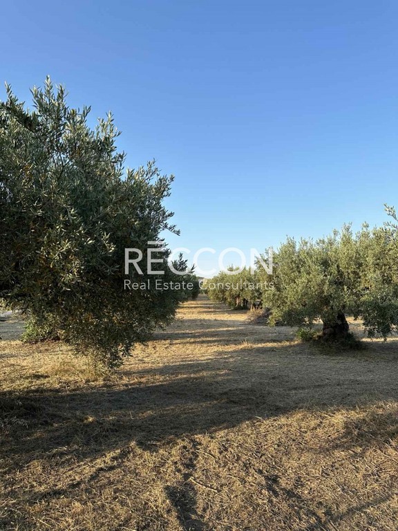 Οικόπεδο 720 τ.μ. προς πώληση, Κανατάδικα