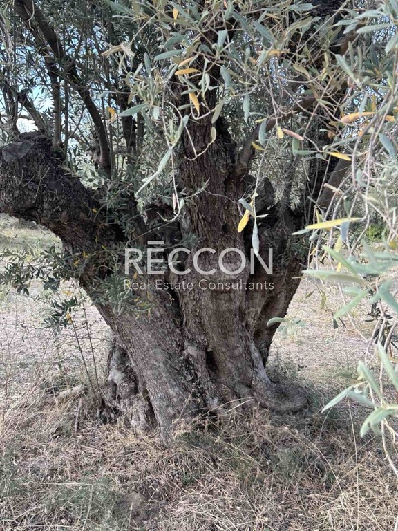Οικόπεδο 720 τ.μ. προς πώληση, Κανατάδικα
