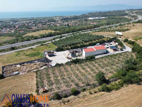 Επιχείρηση 8.000τ.μ. για πώληση-Αμφίπολη » Νέα κερδύλια