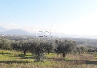 Οικόπεδο 1.496 τ.μ. για πώληση