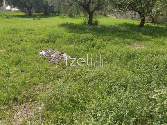 Οικόπεδο 767 τ.μ. για πώληση, Αχαΐα, Μεσσατίδα