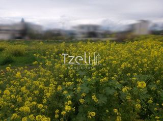 Οικόπεδο 653 τ.μ. για πώληση, Αχαΐα, Πάτρα-thumb-21