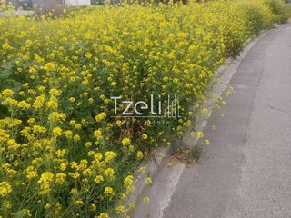 Οικόπεδο 653 τ.μ. για πώληση, Αχαΐα, Πάτρα-thumb-15