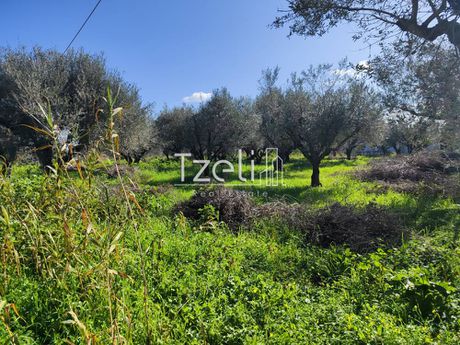 Οικόπεδο 6.729 τ.μ. για πώληση
