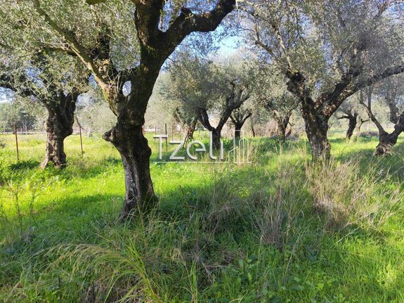 Οικόπεδο 2.602 τ.μ. για πώληση, Αχαΐα, Μόβρη