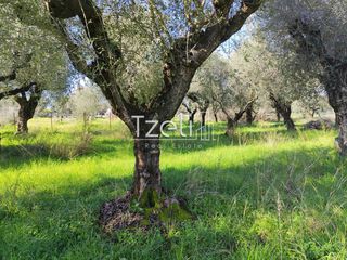 Οικόπεδο 2.602 τ.μ. για πώληση, Αχαΐα, Μόβρη-thumb-10