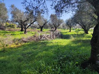 Οικόπεδο 2.602 τ.μ. για πώληση, Αχαΐα, Μόβρη-thumb-7