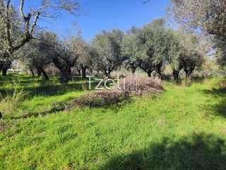 Οικόπεδο 2.602 τ.μ. για πώληση, Αχαΐα, Μόβρη-thumb-12