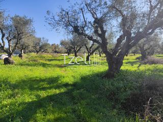 Οικόπεδο 2.602 τ.μ. για πώληση, Αχαΐα, Μόβρη-thumb-1