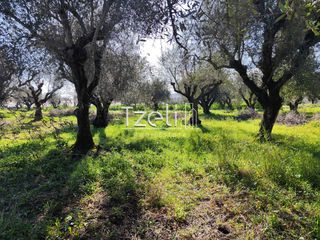 Οικόπεδο 2.602 τ.μ. για πώληση, Αχαΐα, Μόβρη-thumb-13