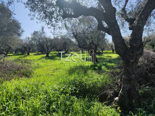 Οικόπεδο 2.602 τ.μ. για πώληση, Αχαΐα, Μόβρη-thumb-2