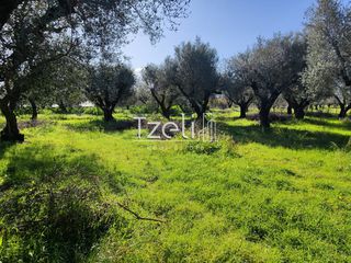 Οικόπεδο 2.602 τ.μ. για πώληση, Αχαΐα, Μόβρη-thumb-11