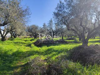 Οικόπεδο 2.602 τ.μ. για πώληση, Αχαΐα, Μόβρη-thumb-3