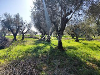 Οικόπεδο 2.602 τ.μ. για πώληση, Αχαΐα, Μόβρη-thumb-14